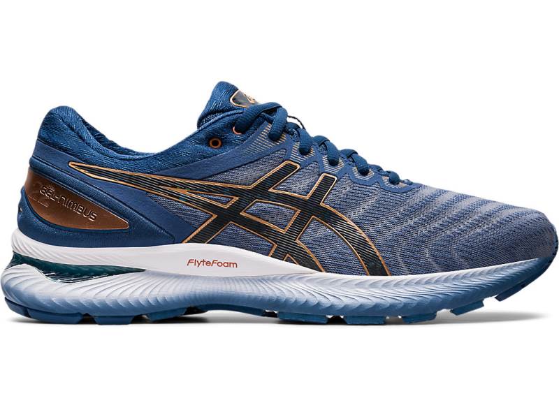 Pánské Běžecké Boty Asics GEL-NIMBUS 22 Wide Světle Blankyt 61735KIPW